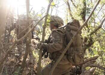 מהקרקע ומהאוויר: עשרות מחבלים חוסלו בעזה ובלבנון