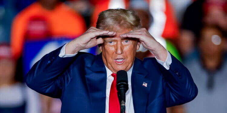 טראמפ. צילום: אי.פי.איי