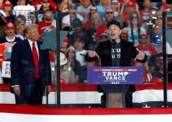 אילון מאסק תומך בדונלד טראמפ, צילום: Kevin Dietsch / GETTY IMAGES