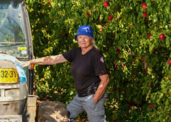 דבורה אדלר במטעים במירון. צילום: אייל מרגולין, ג'יני