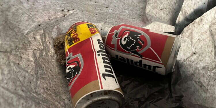 הולנד: עובד המוזיאון זרק את היצירה לפח האשפה