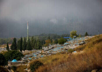 לשימוש חד פעמי