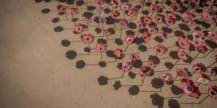 מיצג הכלניות ביער רעים. צילום: חיים גולדברג - פלאש 90