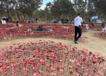 מיצג הכלניות בחניון רעים. צילום: אורלי גולדקלנג