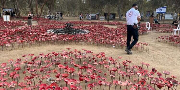 מיצג הכלניות בחניון רעים. צילום: אורלי גולדקלנג מיצג הכלניות בחניון רעים. צילום: אורלי גולדקלנג