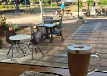 סטלה | מגשימים. צילום מסך מהרשתות החברתיות