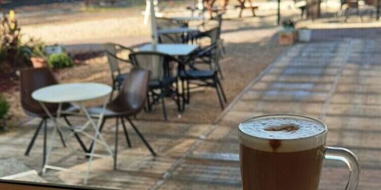 סטלה | מגשימים. צילום מסך מהרשתות החברתיות סטלה | מגשימים. צילום מסך מהרשתות החברתיות