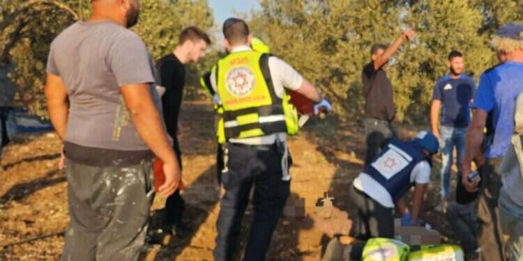 זירת פגיעת רקטה סמוך לכביש 79, באזור קריית ביאליק. צילום: תיעוד מבצעי מד 2 הרוגים מפגיעת רקטה באזור הקריות