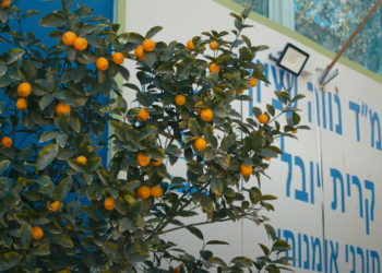 ממ"ד נווה עציון. צילום מסך מיוטיוב