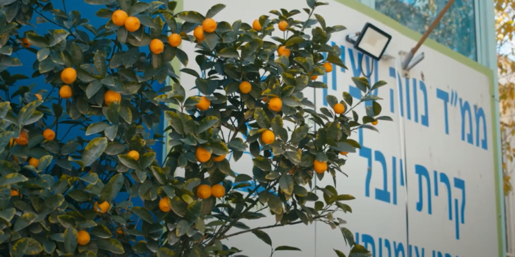 ממ"ד נווה עציון. צילום מסך מיוטיוב