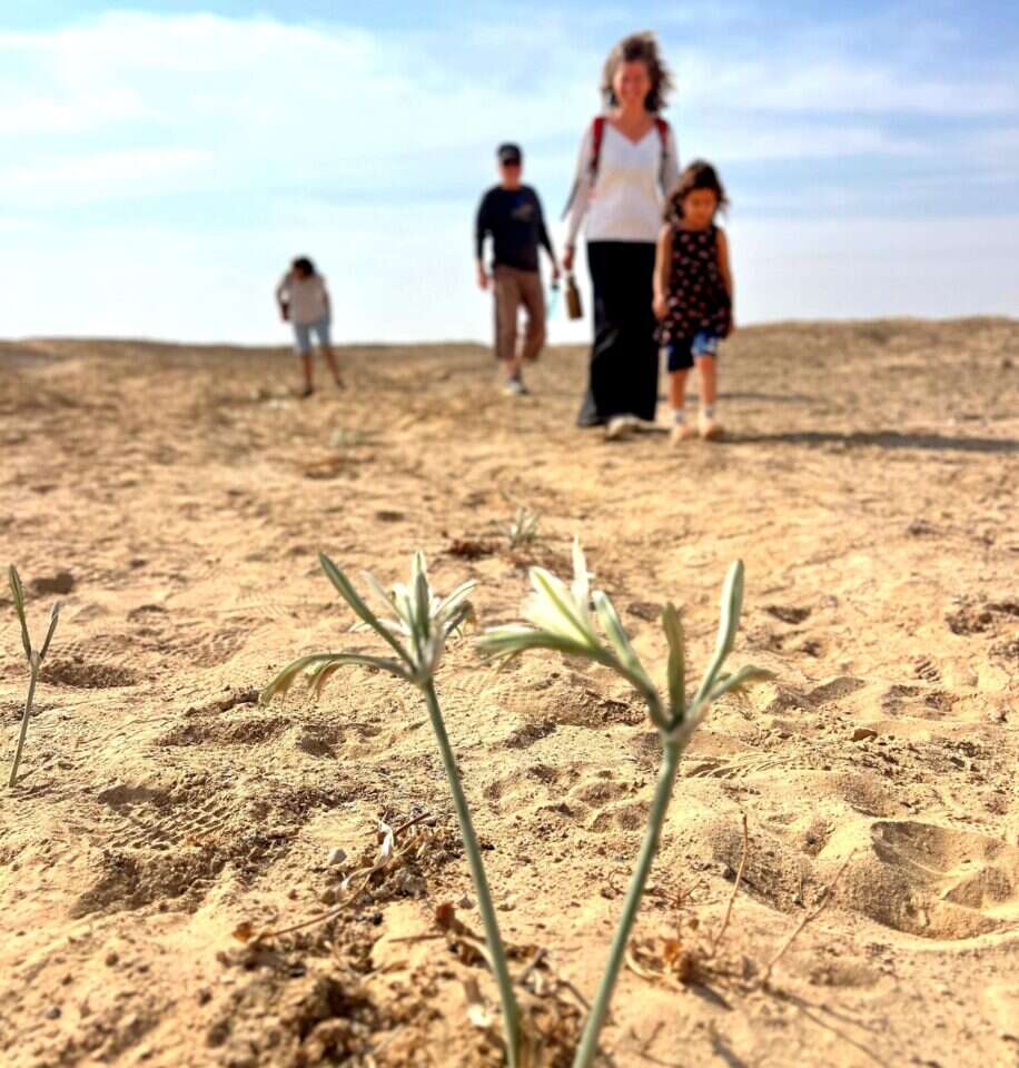 שביל החבצלות על שם אהד כהן ז''ל, בסמוך למושב עידן בערבה התיכונה. צילום: אביעד בר, הערבה התיכונה