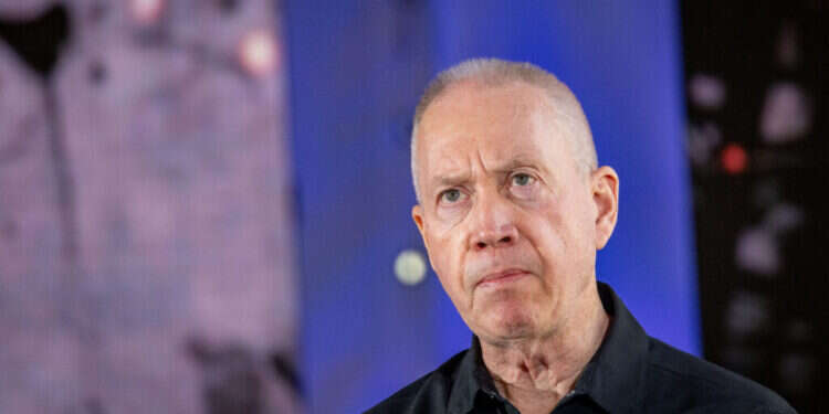 גלנט. צילום: חיים גולדברג, פלאש 90 גלנט. צילום: חיים גולדברג, פלאש 90