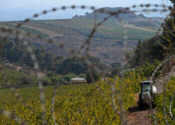 חקלאות במטולה. צילום: מיכאל גלעדי, פלאש 90