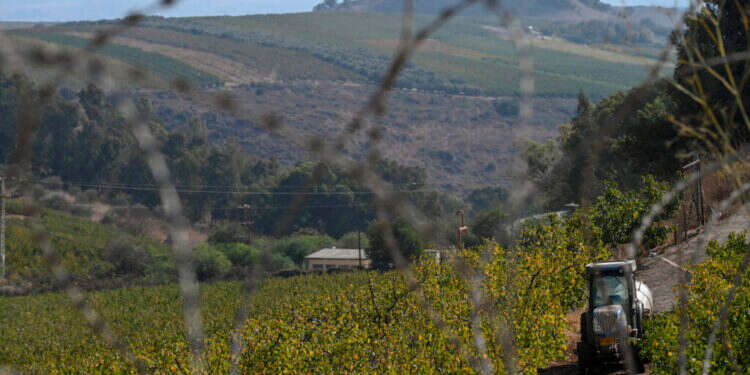 חקלאות במטולה. צילום: מיכאל גלעדי, פלאש 90