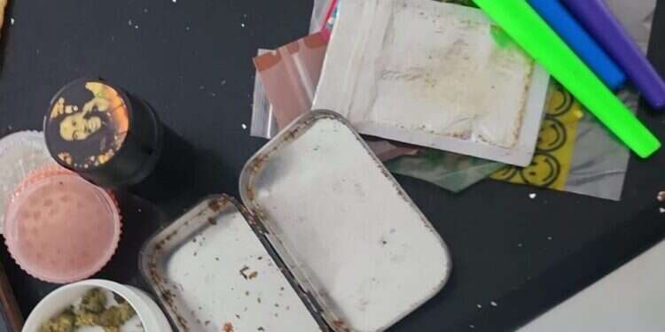 צילום: דוברות המשטרה