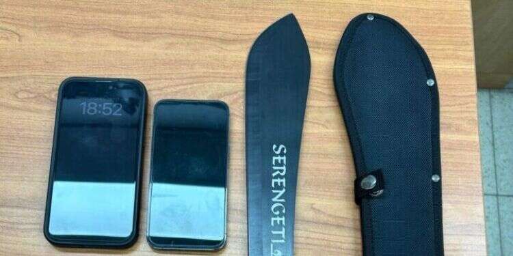 עם מצ'טה גדולה וסכין: נתפסו ביפו שני לבושי שחורים שניסו להתחמק מהשוטרים