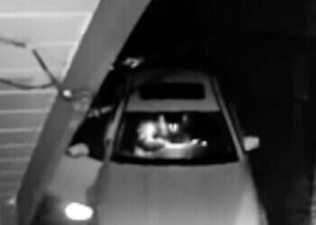 ה"דב" הורס את רכב היוקרה. צילום מסך מיוטיוב