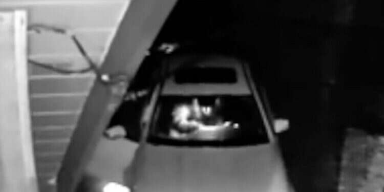 ה ה"דב" הורס את רכב היוקרה. צילום מסך מיוטיוב