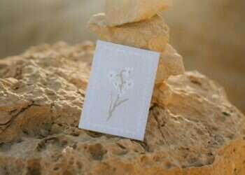 מהפקאנים בצפון ועד השרשרת של המילואימניק: עסקים והנחות כחול-לבן