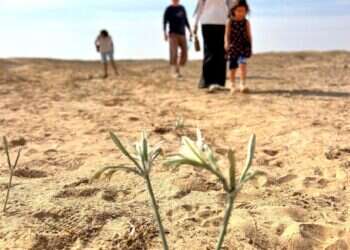 שביל הליכה חדש על שמו של הלוחם שנפל ב-7 באוקטובר