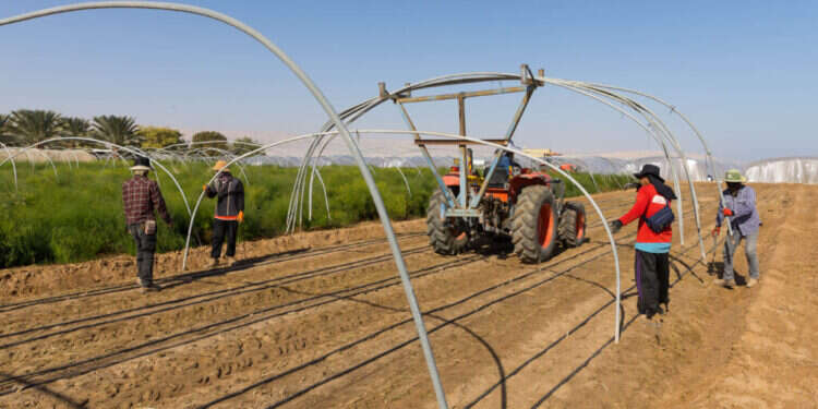 צילום: לירון מולדובן