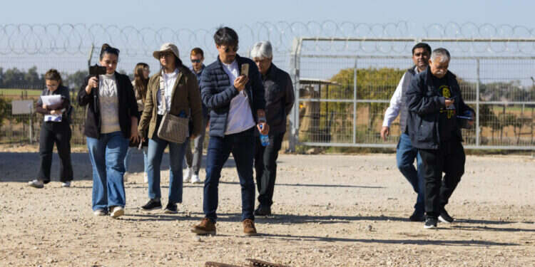 צילום: לירון מולדובן