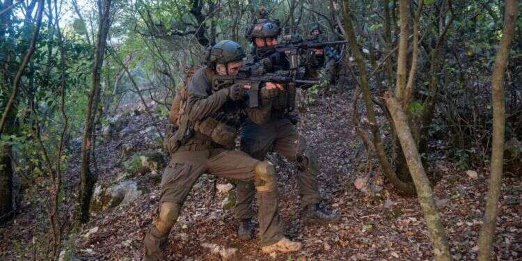 כוחות אוגדה 91 בדרום לבנון. צילום: דובר צה