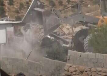 אנטישמי ואנטי-ביבי: הזוית הישראלית של טקס האוסקר