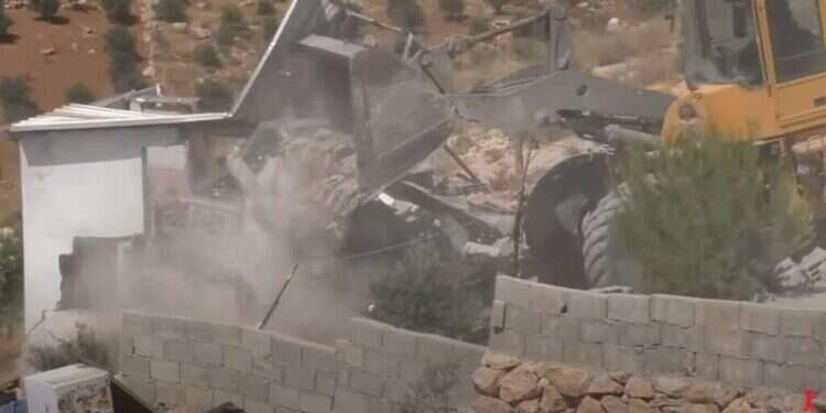 אנטישמי ואנטי-ביבי: הזוית הישראלית של טקס האוסקר