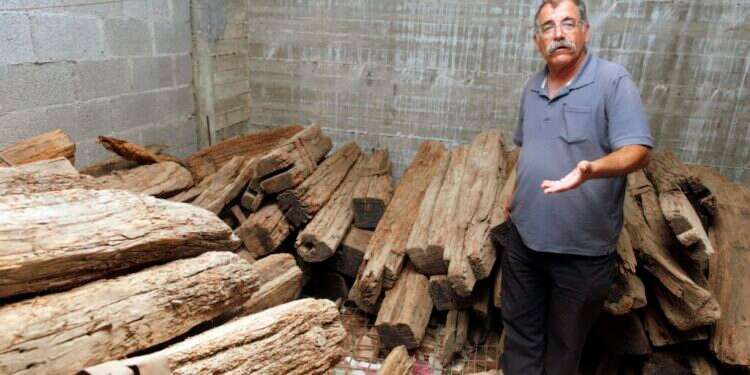 ז'אבו וקורות העץ, 2012. צילום: ליאור מזרחי