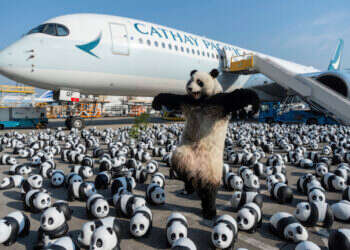 קונג פו פנדה, הסיפור האמיתי: הנשק הסודי של הונג קונג לחיזוק התיירות