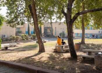 צילום: אביטל הירש