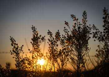 זריחה בגולן. צילום: מיכאל גלעדי - פלאש 90