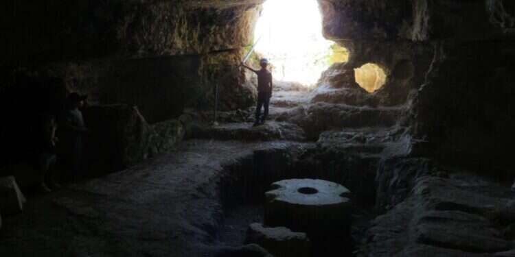 מערת בעת בד בחסרת נסיה, פסגות. צילום: עמרי עבאדי מתחת לקרקע, ליד מקוואות: בתי הבד שמעידים על החתירה לטהרה