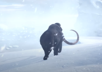 במשקל 180 קילו: ממותה קפואה התגלתה בסיביר