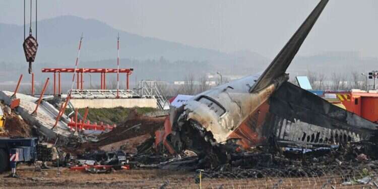 תאונת המטוס בדרום קוריאה: מה גרם להתרסקות הקטלנית