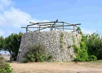 לא רק על הנייר. הגן הבוטני בנאות קדומים. צילום: יוסי זליגר