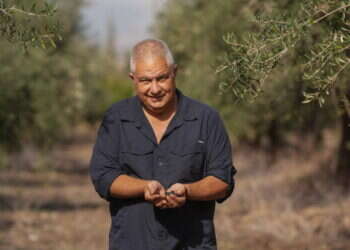 "את מסתכלת על הזית ורואה את ארץ ישראל ואת העם היהודי"