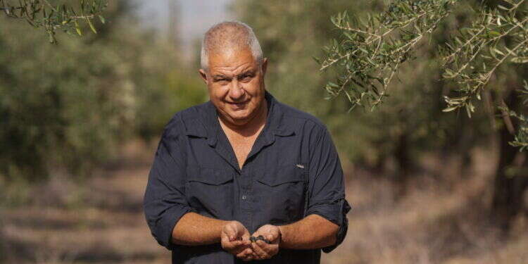 צילום: אייל מרגולין - ג׳יני "את מסתכלת על הזית ורואה את ארץ ישראל ואת העם היהודי"