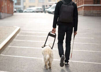 חשד: דיווח על מכירת מוצרים לעיוורים ועקץ את כספי הסבסוד