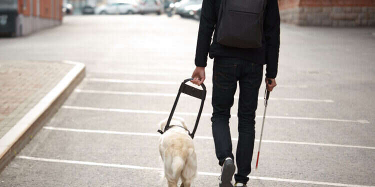 חשד: דיווח על מכירת מוצרים לעיוורים ועקץ את כספי הסבסוד