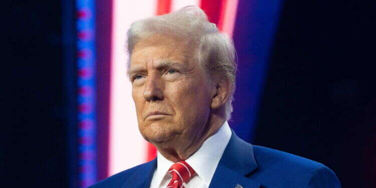 נשיא ארה טראמפ. צילום: איי.אף.פי