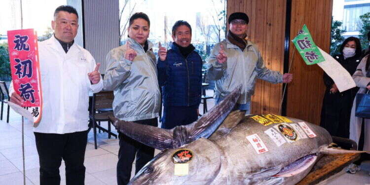 דג הטונה שנמכר ב-1.3 מיליון דולר. צילום: AFP דג המזל: קונה שילם 1.3 מיליון דולר על דג טונה