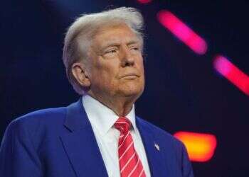 דונלד טראמפ. צילום: איי.פי