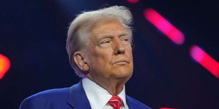 דונלד טראמפ. צילום: איי.פי דונלד טראמפ. צילום: איי.פי