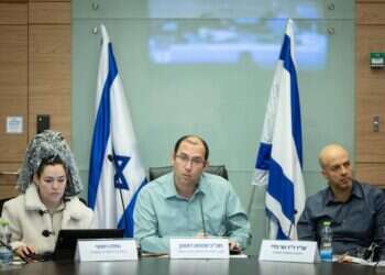 הרפורמה המרוככת מתקדמת: ועדת חוקה קיימה דיון ראשון בחוק