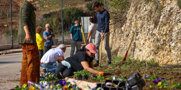 מתנדבים במטולה, בשבוע שעבר. למצולמים אין קשר לכתבה. צילום: יוסי זמיר, פלאש 90 "המשפחות שלנו היו מודאגות, אבל כשהגענו לישראל ראינו כמה זה חשוב"