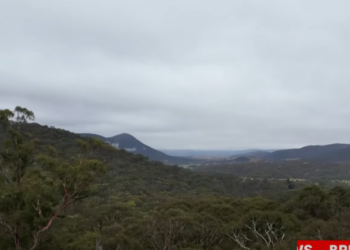 אוסטרליה: שרד שבועיים בסבך על שני חטיפי מוזלי
