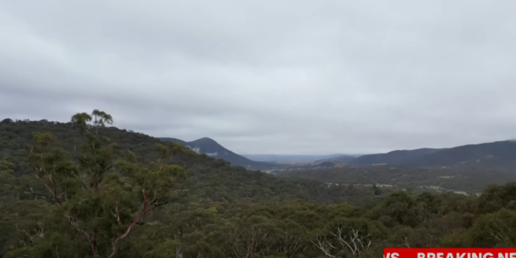 שמורת הטבע באוסטרליה. צילום מסך מיוטיוב אוסטרליה: שרד שבועיים בסבך על שני חטיפי מוזלי
