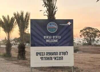 הדמיית שלט לשדה התעופה המתוכנן בנבטים